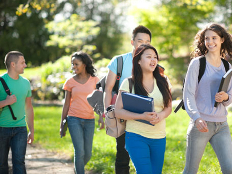 电话测压在线平台